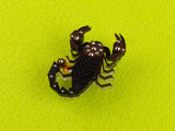 Scorpion Brooch - Capri Noir
